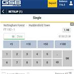gsb check bet slip